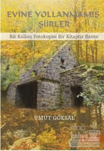 Evine Yollanmamış Şiirler