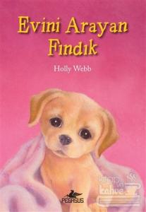 Evini Arayan Fındık