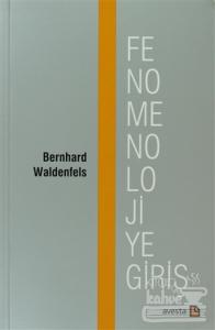 Fenomenolojiye Giriş