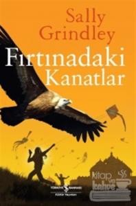 Fırtınadaki Kanatlar