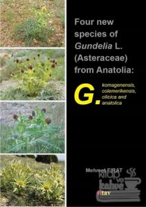 Four New Species Of Gundelia L. (Asteraceae) From Anatolia