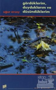 Gördüklerim, Duyduklarım ve Düşüdüklerim