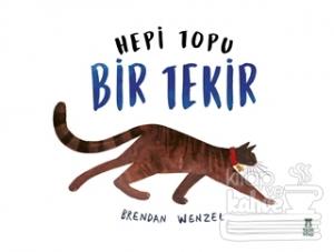 Hepi Topu Bir Tekir