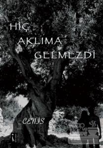 Hiç Aklıma Gelmezdi