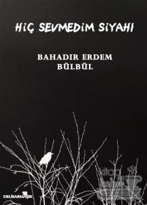Hiç Sevmedim Siyahı