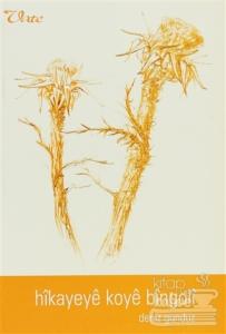 Hikayeye Koye Bingoli