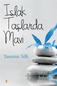 Islak Taşlarda Mavi