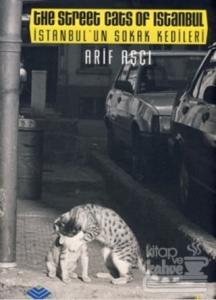 İstanbul'un Sokak Kedileri