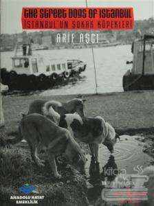 İstanbul'un Sokak Köpekleri /  The Street dogs Of Istanbul