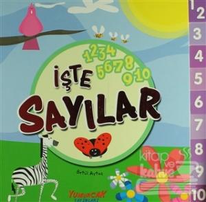 İşte Sayılar