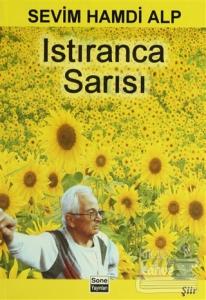 Istıranca Sarısı