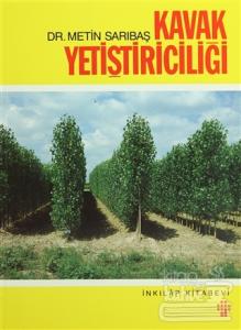 Kavak Yetiştiriciliği