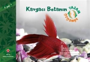 Kavgacı Betanın Yaşam Döngüsü