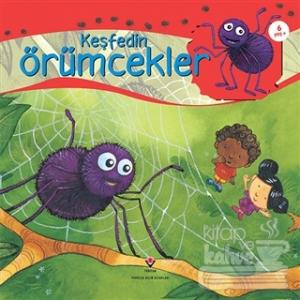Keşfedin - Örümcekler