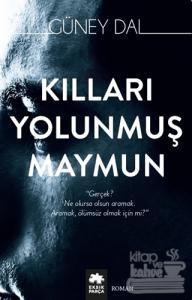 Kılları Yolunmuş Maymun