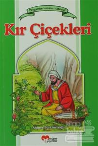 Kır Çiçekleri