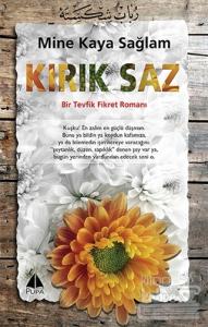 Kırık Saz