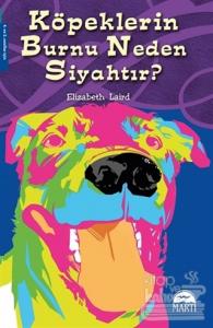 Köpeklerin Burnu Neden Siyahtır?