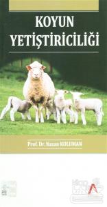 Koyun Yetiştiriciliği