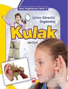 Kulak - İşitme Görevlisi Organımız