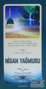 Kutlu Doğum Serisi 6 - Nisan Yağmuru