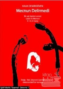 Mecnun Delirmedi