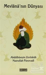 Mevlana'nın Dünyası