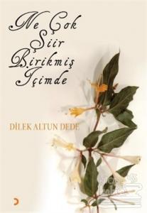 Ne Çok Şiir Birikmiş İçimde