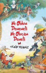 Ne Oldum Dememeli Ne Olucam Demeli