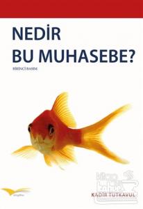 Nedir Bu Muhasebe?