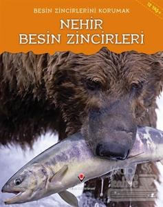 Besin Zincirlerini Korumak - Nehir Besin Zincirleri