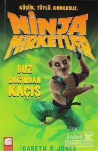 Ninja Mirketler - Buz Dağından Kaçış