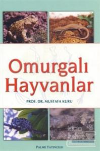 Omurgalı Hayvanlar