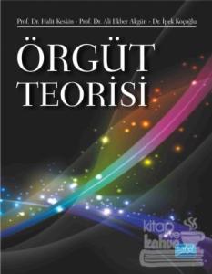 Örgüt Teorisi