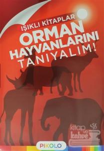Orman Hayvanlarını Tanıyalım! - Işıklı Kitaplar