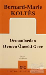 Ormanlardan Hemen Önceki Gece