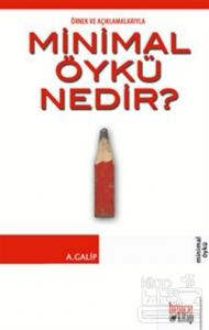 Örnek ve Açıklamalarıyla Minimal Öykü Nedir