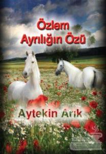 Özlem Ayrılığın Özü