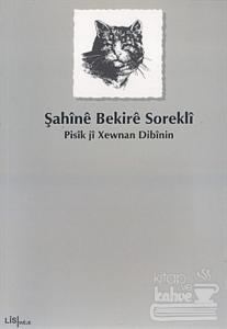 Pisik ji Xewnan Dibinin