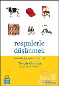 Resimlerle Düşünmek