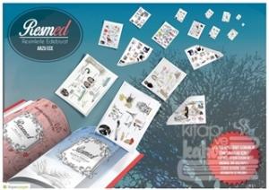 Resmed Resimlerle Edebiyat