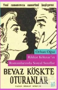 Rikkat Köknar'ın Romanlarında Sosyal Sınıflar