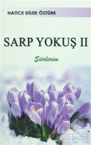 Sarp Yokuş 2