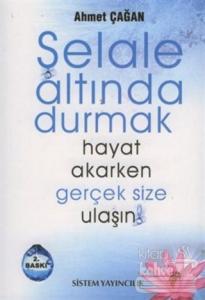 Şelale Altında Durmak Hayat Akarken Gerçek Size Ulaşın!