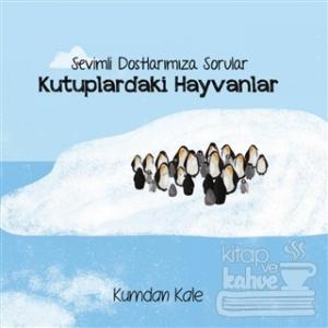 Sevimli Dostlarımıza Sorular Kutuptaki Hayvanlar