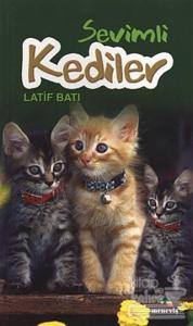 Sevimli Kediler