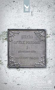 Şiirin Ortak Paydası 1 - Şiirbilime Giriş (Ciltli)