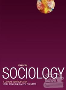 Sociology : A Global Introduction