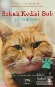 Sokak Kedisi Bob