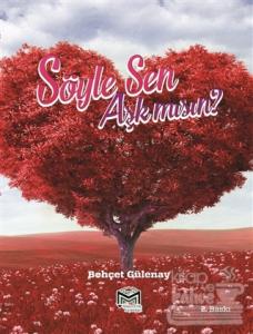 Söyle Sen Aşk mısın?